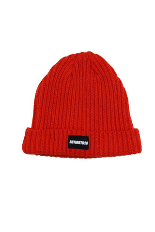 BEANIE RED COLOR